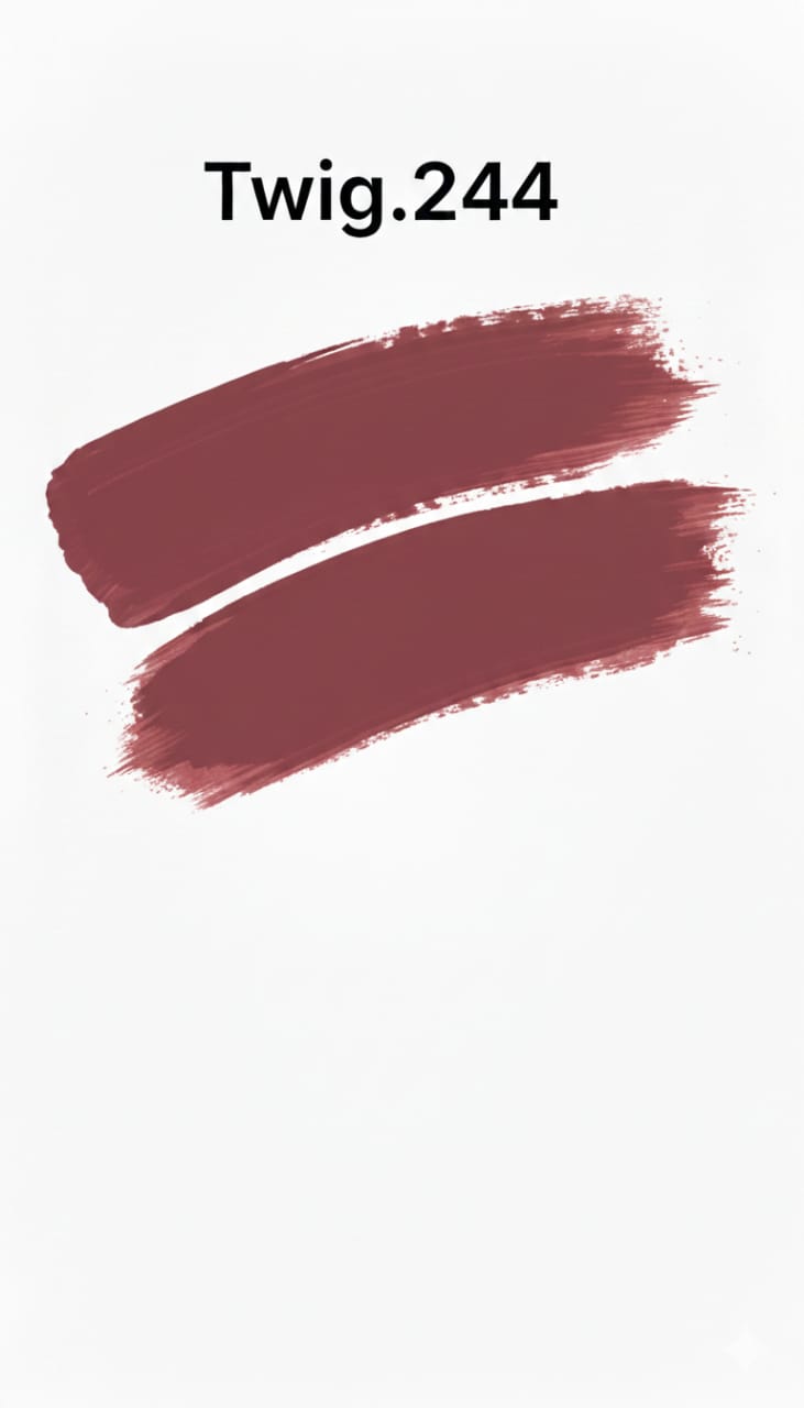 Medora matte lipstick shade 244 twig Swatch - Pink colours collection 